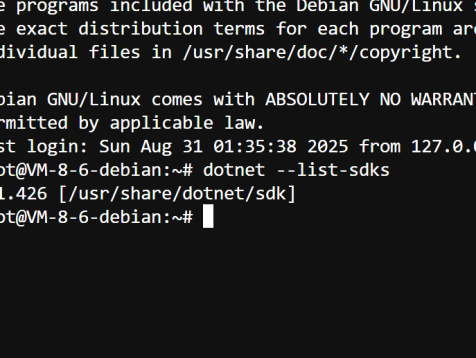 如何在debian系统安装dotnet-sdk-3.1？